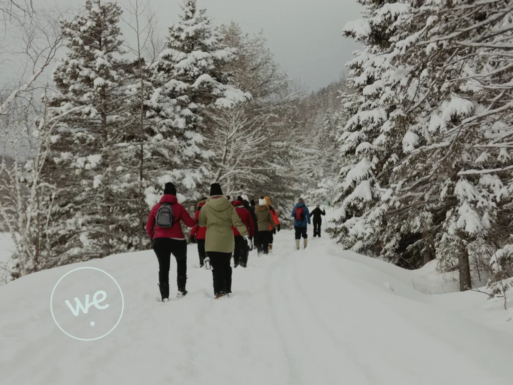 68 – Les services wetreat inc.